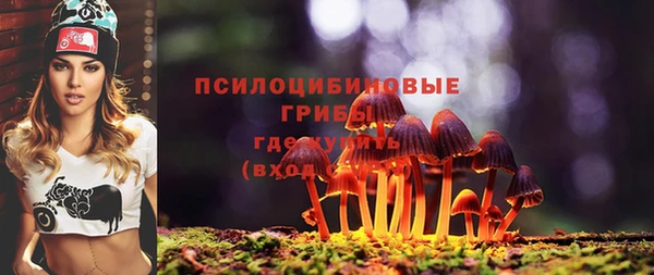 тгк Баксан