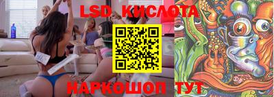 прущие грибы Нальчик