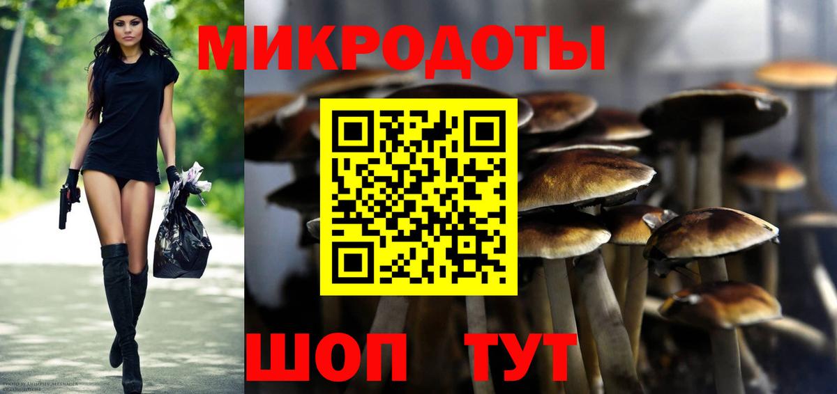 Галлюциногенные грибы Psilocybe  где можно купить наркотик  Сердобск  Галлюциногенные грибы мицелий  Вход с VPN 